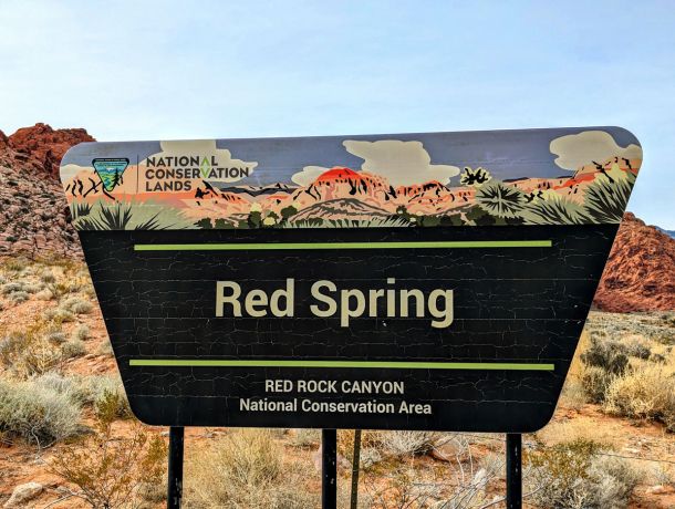 Red Spring Picnic Area | Calico Basin | Red Rock Canyon Conservation Area