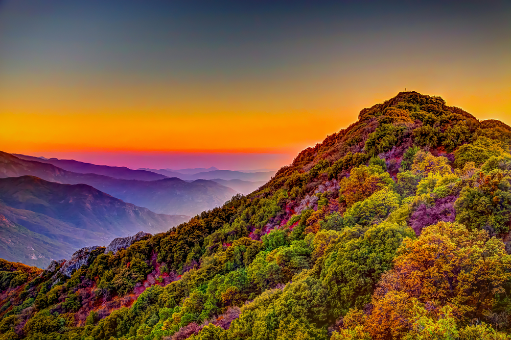 Sequoia National Park